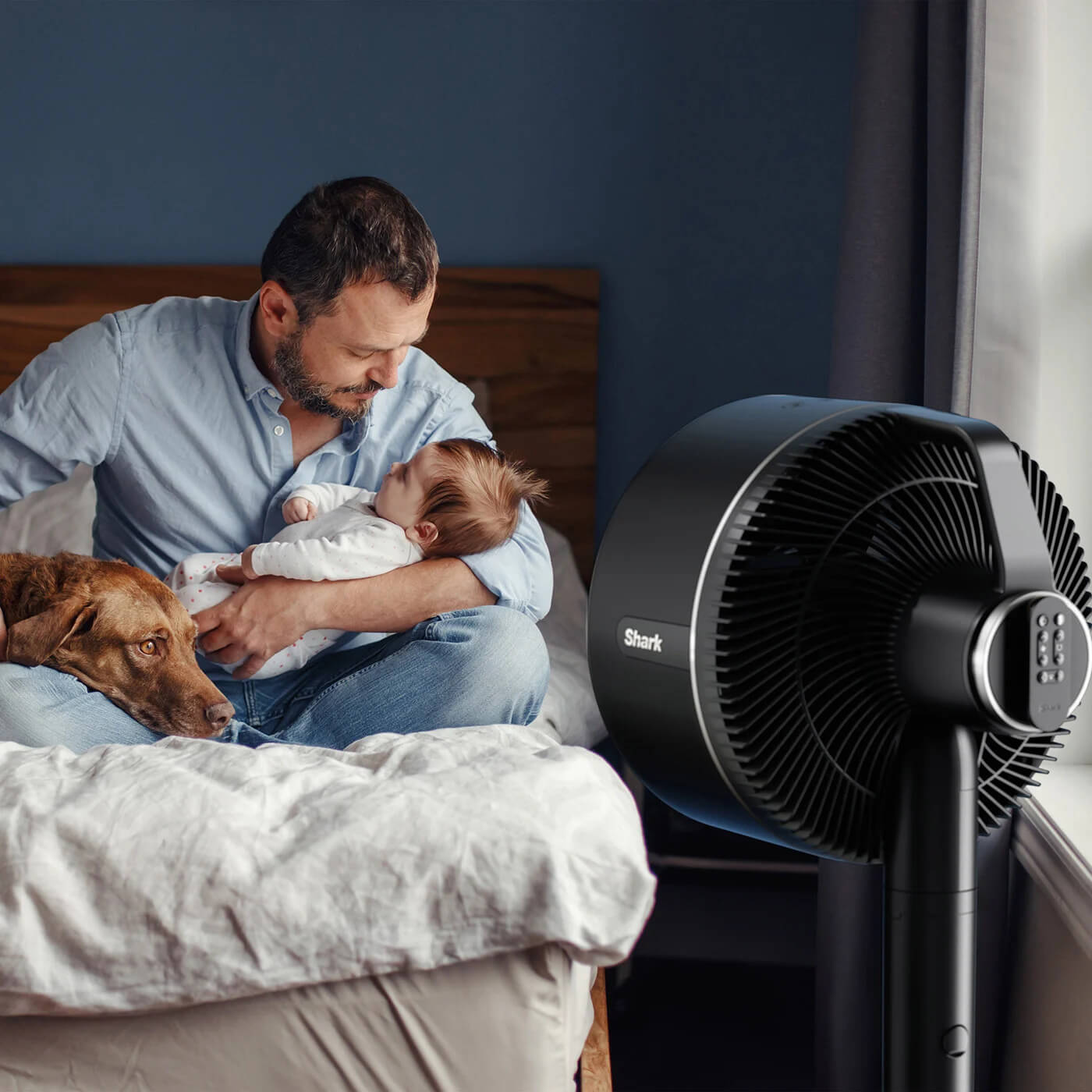 Image de ventilateur Shark