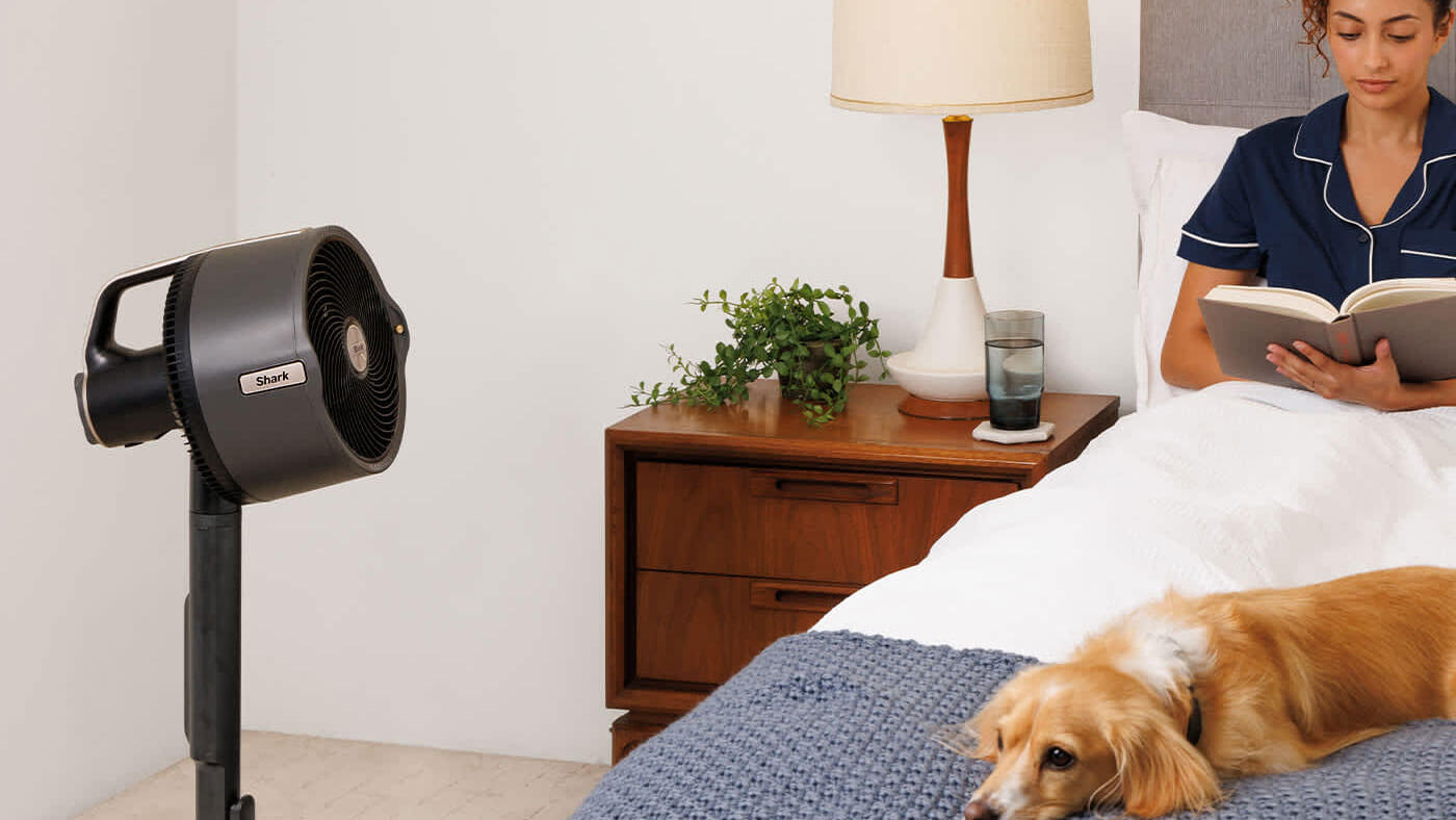 Image de Chambre ou espace de sommeil