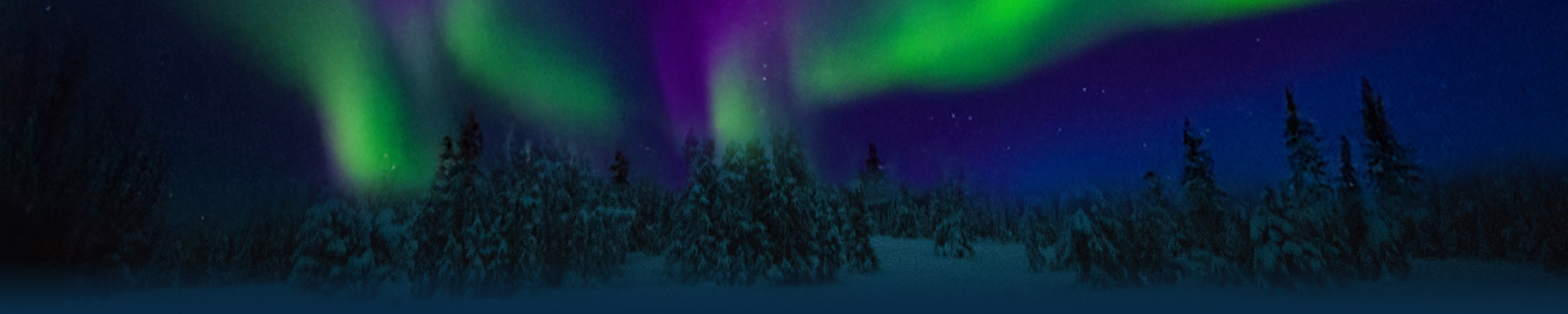 Northern lights over a snowy forest backdrop