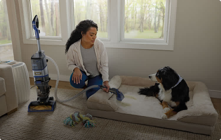A women using the Shark CarpetXpert HairPro Pet StainStriker tool to clean the dog's bed.