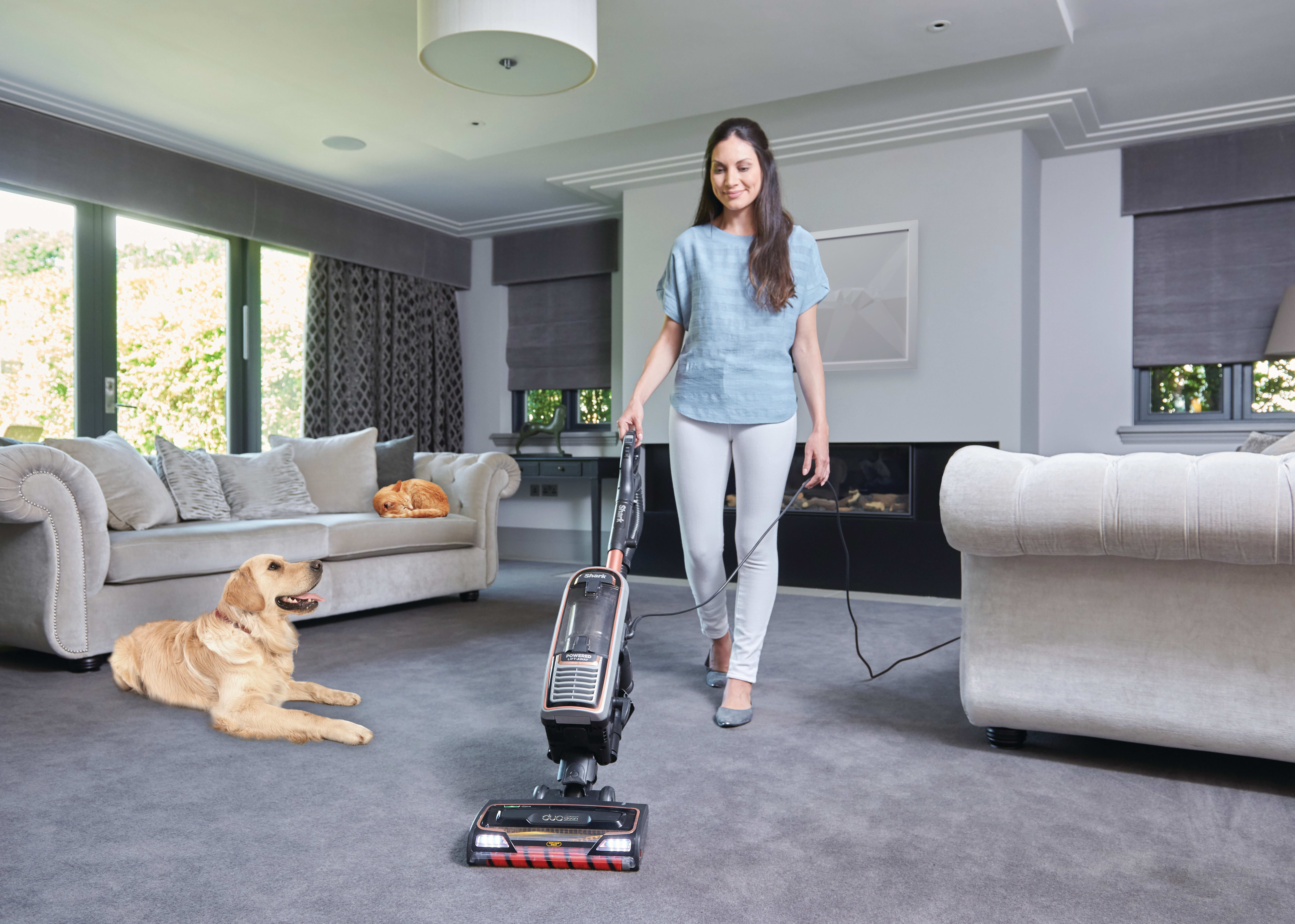 Perfect for Homes with Pets