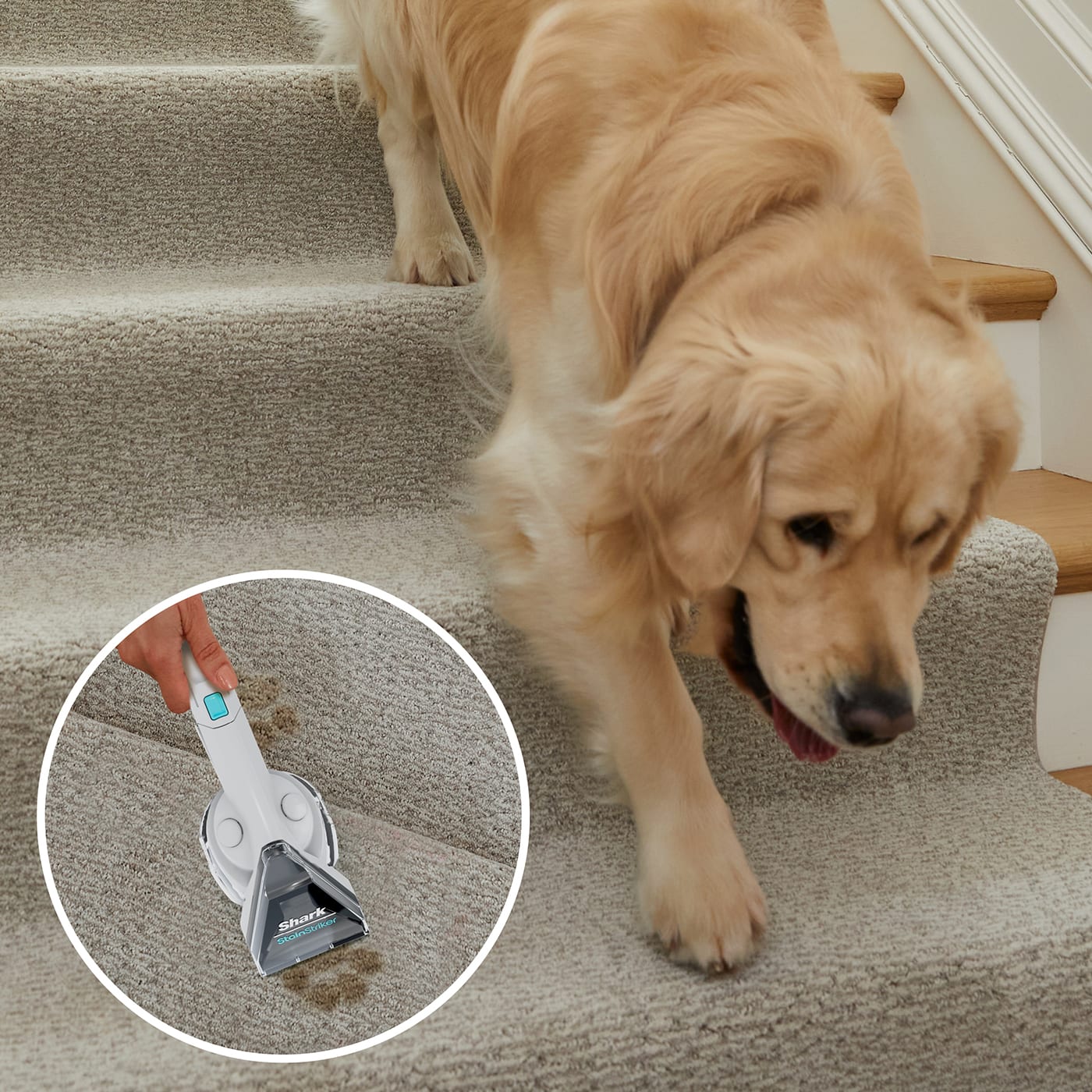 The best stubborn stain remover** The best stubborn stain remover**