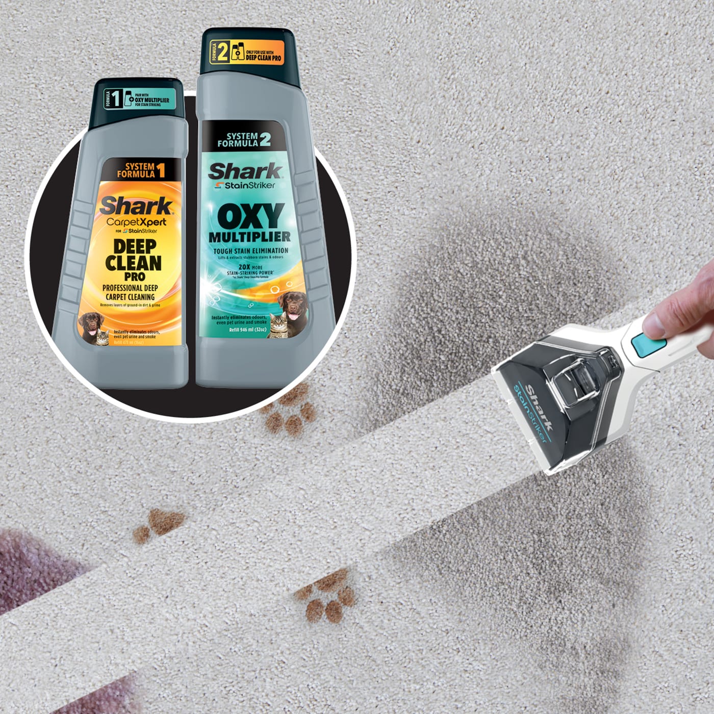 Effective Shark Carpet Cleaning Solution For Deep Stain Removal Effective Shark Carpet Cleaning Solution For Deep Stain Removal