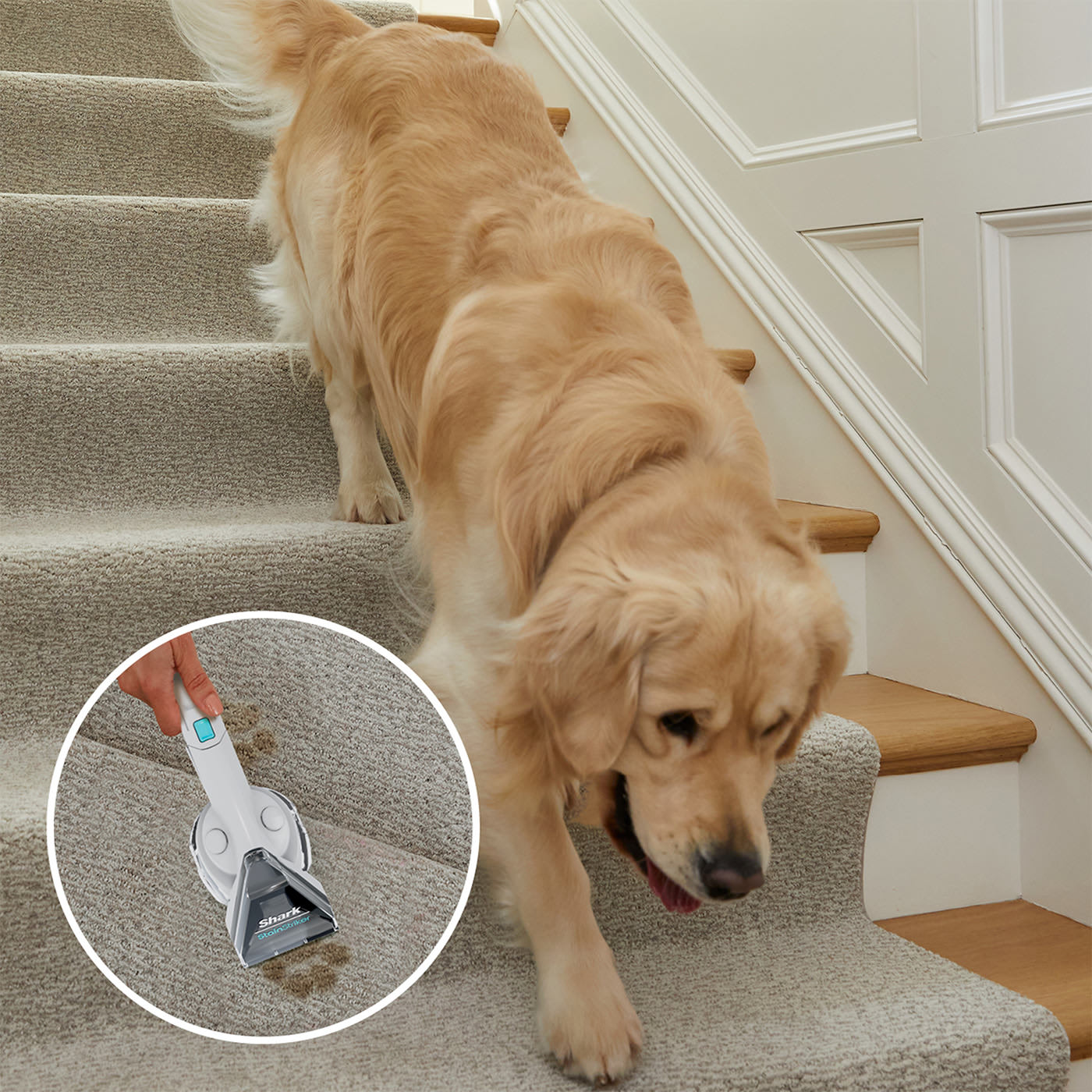 The best stubborn stain remover**
