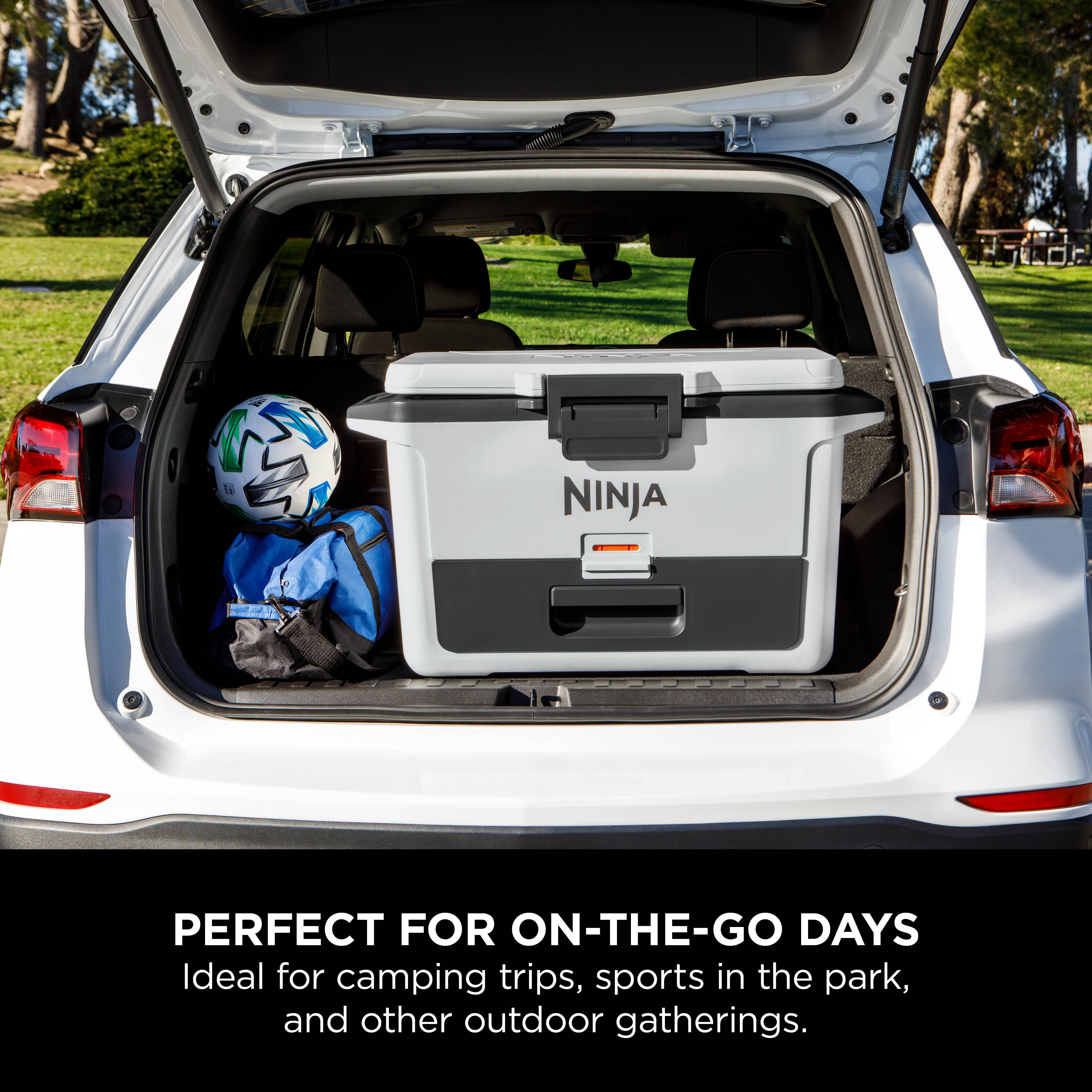 Ninja FrostVault Hard Cooler 50QT/48L with Dry Zone Premium - Certified Refurbis - Picture 35 of 36