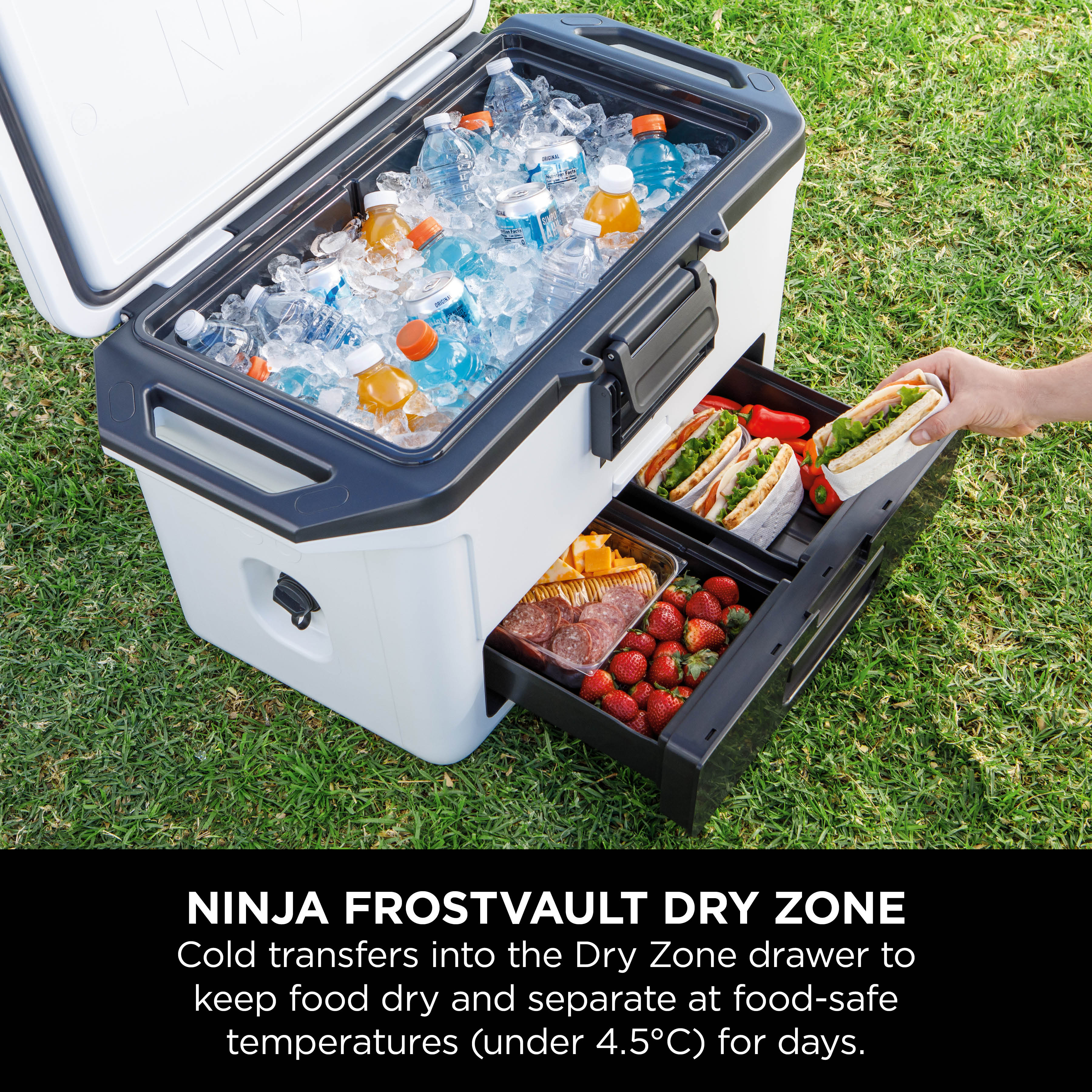 Ninja FrostVault Hard Cooler 50QT/48L with Dry Zone Premium - Certified Refurbis - Picture 28 of 36