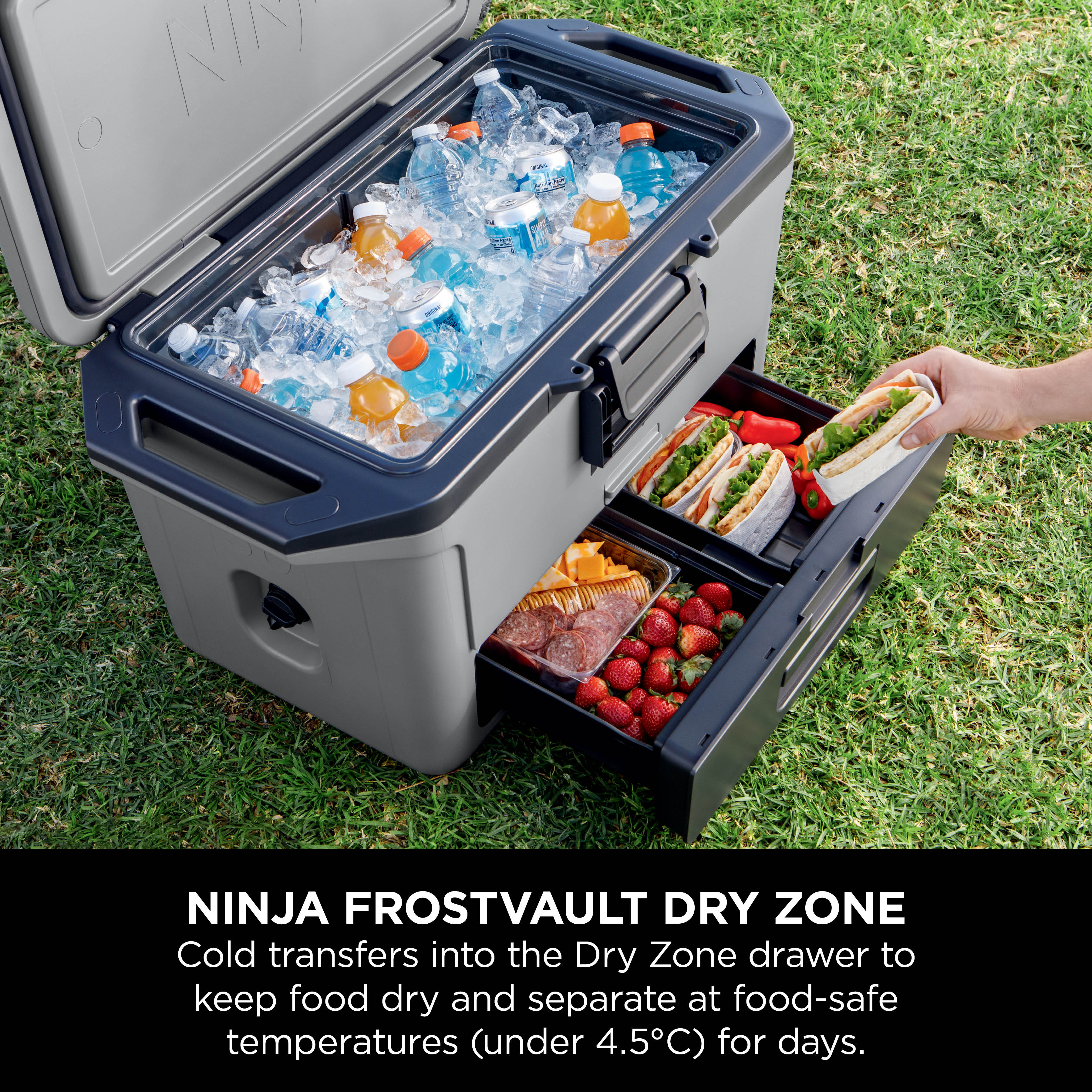 Ninja FrostVault Hard Cooler 50QT/48L with Dry Zone Premium - Certified Refurbis - Picture 16 of 36