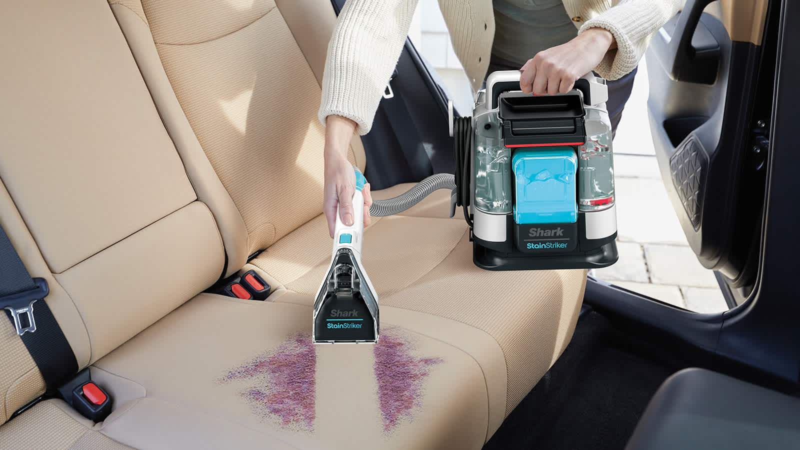 Aspirapolvere Portatile Per Rimuovere I Peli Di Animali - Foto 12