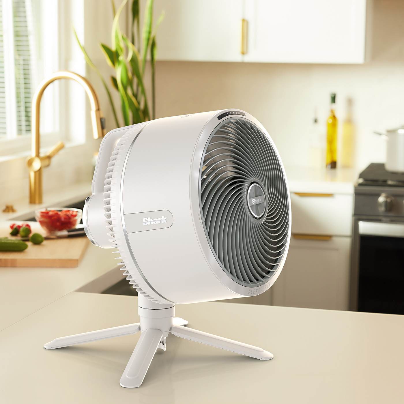 Deze ventilator blaast zelfs waterdruppels en is ideaal voor tropische dagen | Foto