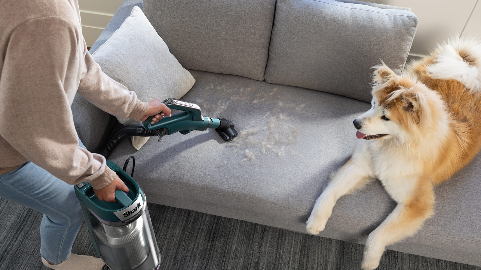 Shark PowerDetect Corded Upright Pet Vacuum Cleaner AZ3900UKT