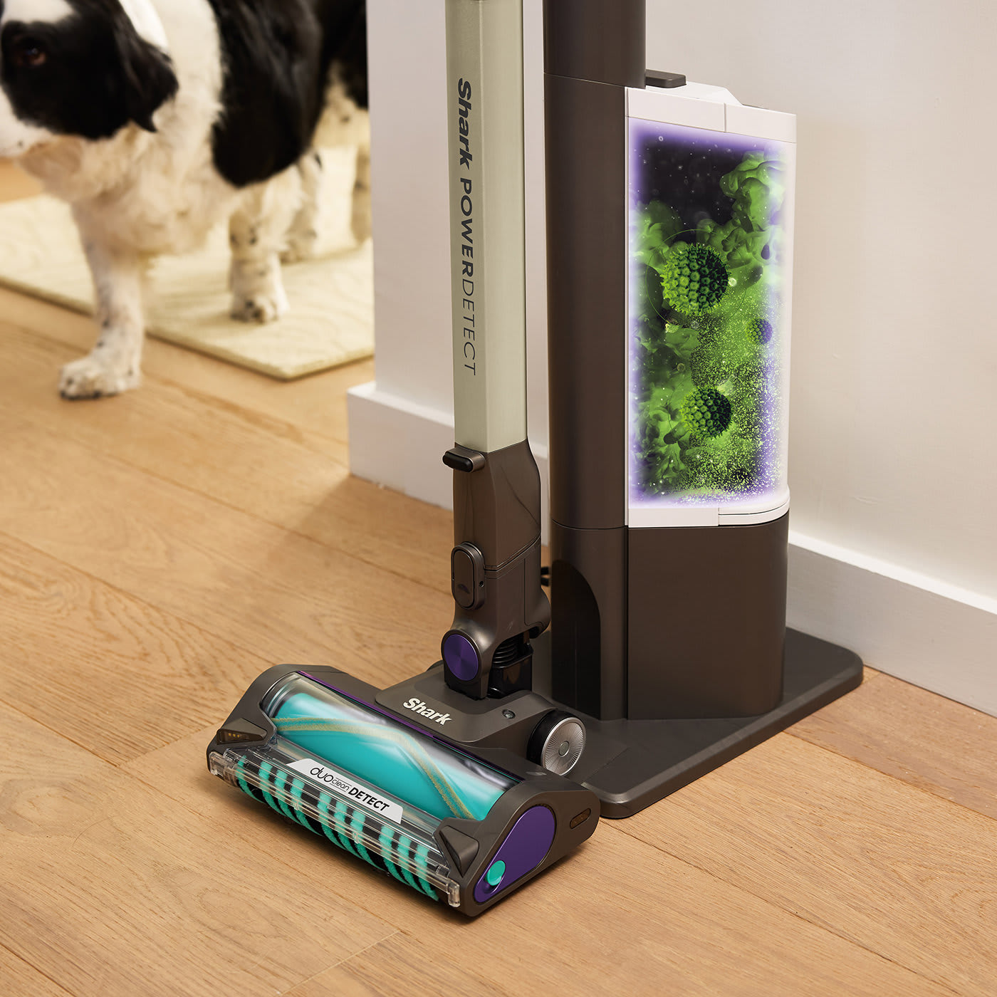 Image de l'aspirateur balai sans fil Clean & Empty spécial poils d’animaux