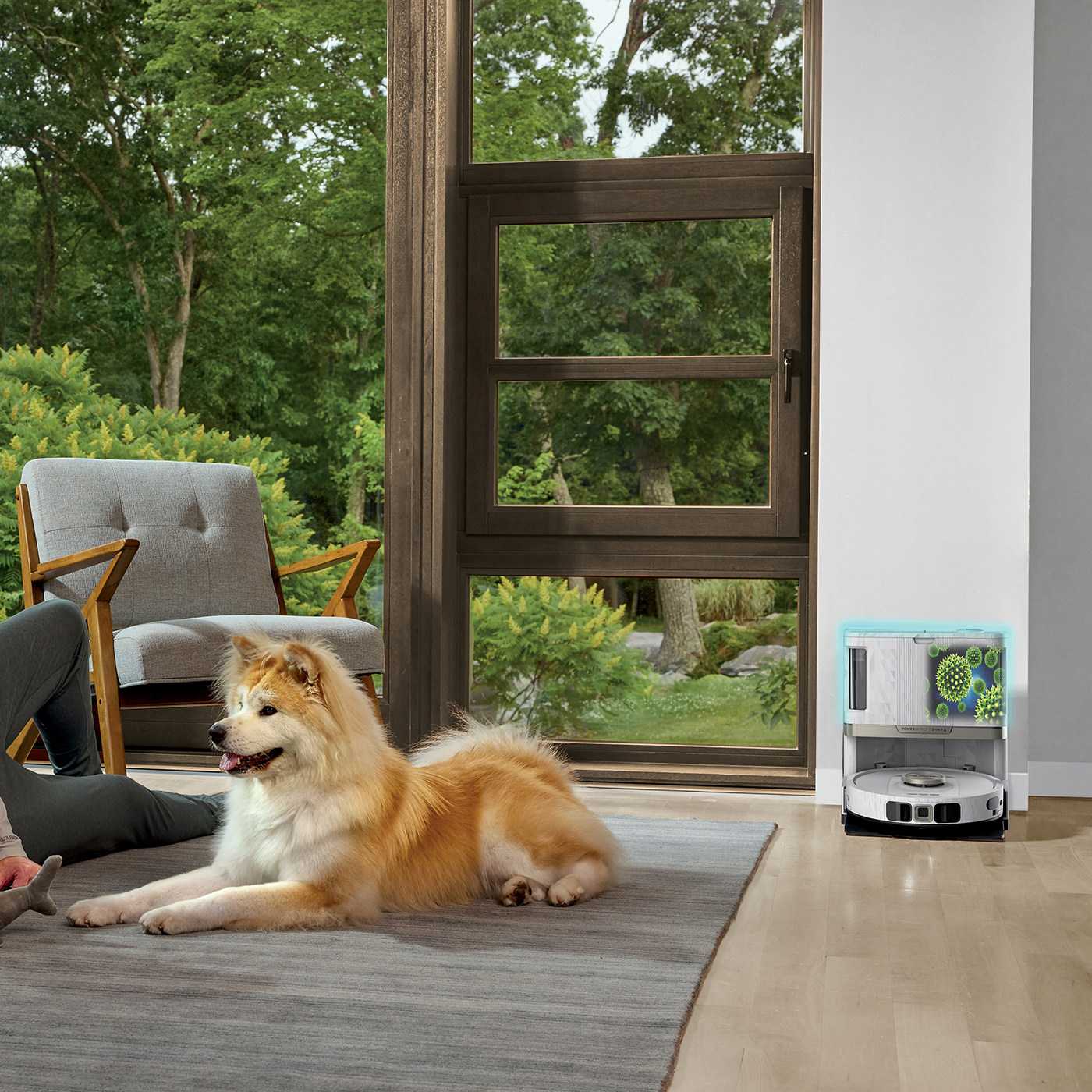 Perfekt f&uuml;r Haushalte mit Haustieren