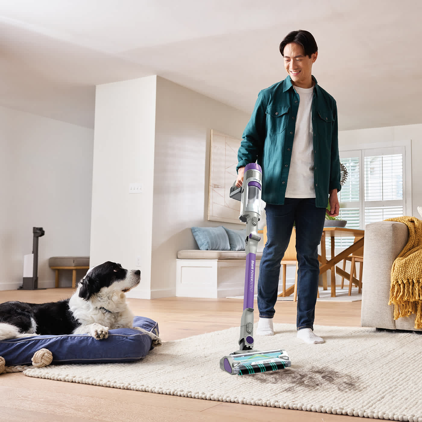Person saugt einen Teppich mit einem kabellosen Shark-Staubsauger, während ein Hund vom Bett aus zusieht, wie Schmutz aufgesaugt wird.
