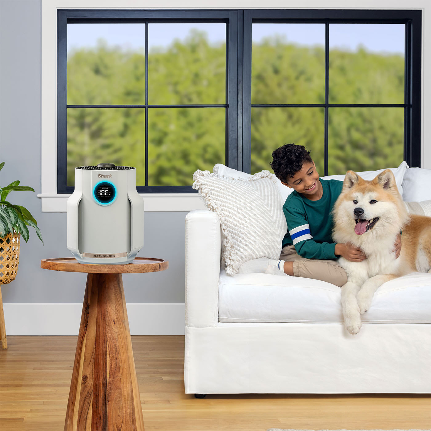 Anti-Allergen-Filtration & Anti-Odour-Technologie