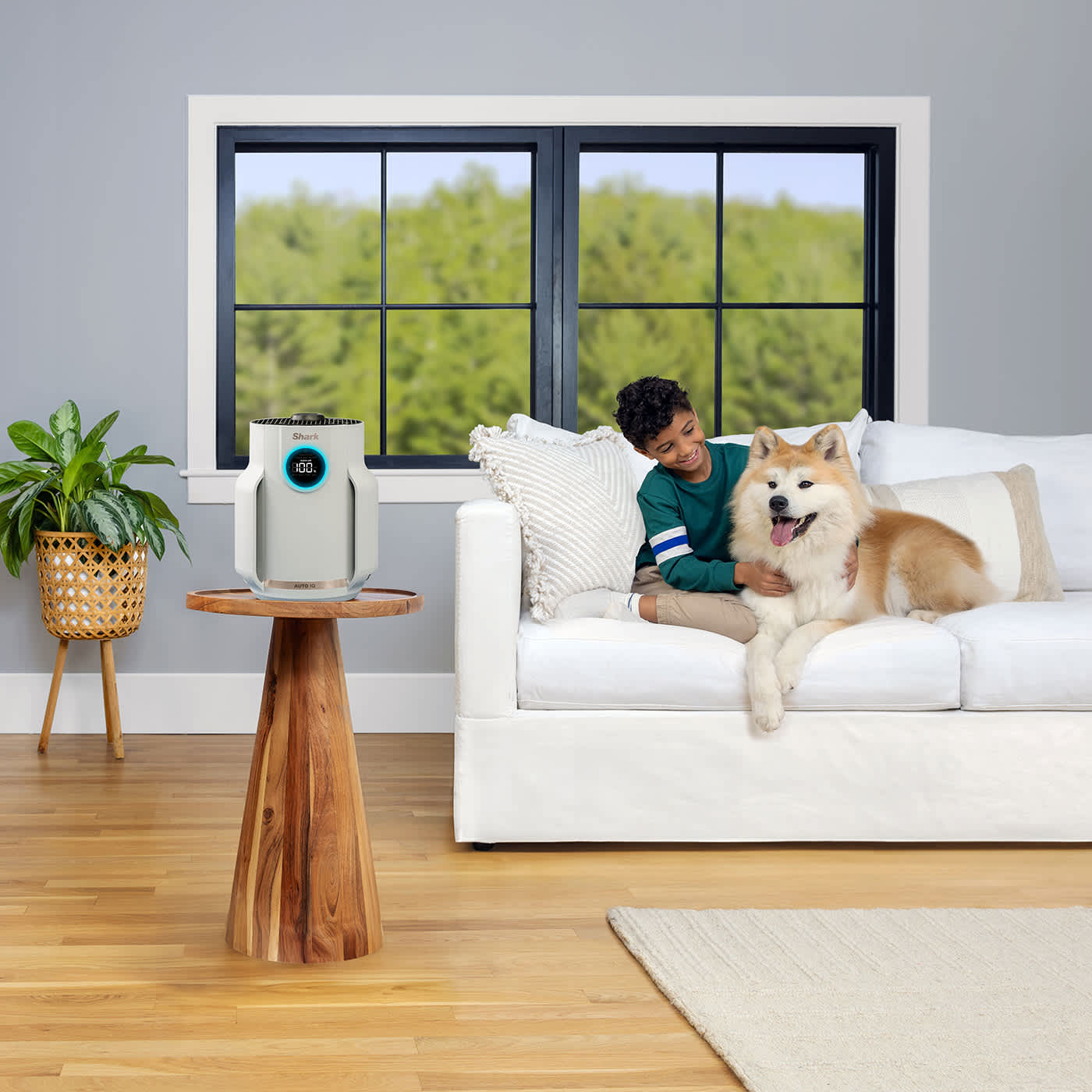 Filtraggio anti-allergeni e tecnologia anti-odore