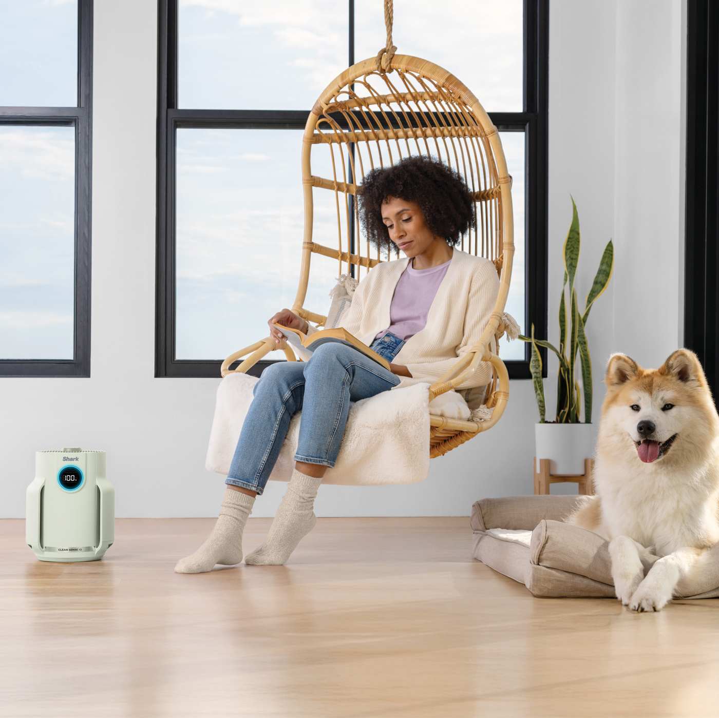 Filtration anti-allergènes et technologie anti-odeurs