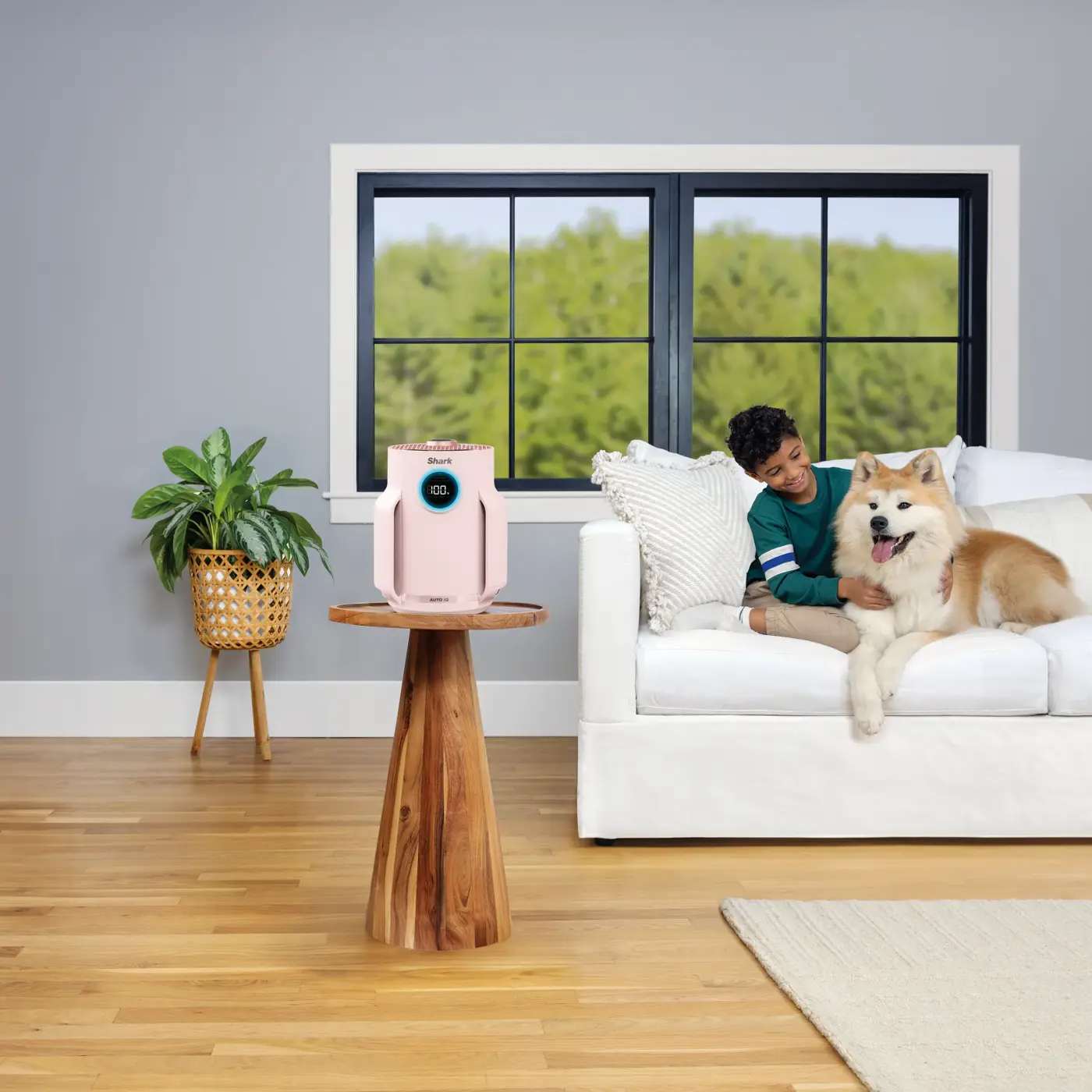 Anti-Allergen-Filtration & Anti-Odour-Technologie