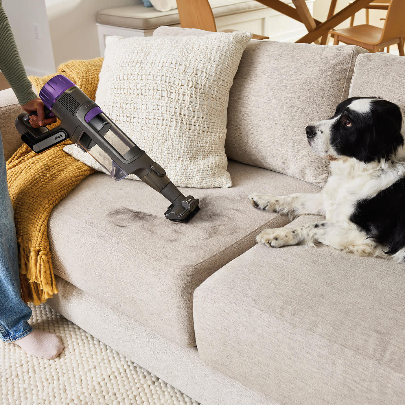 Femmes utilisant le mode portable Shark PowerDetect pour ramasser les poils de chien sur le canapé