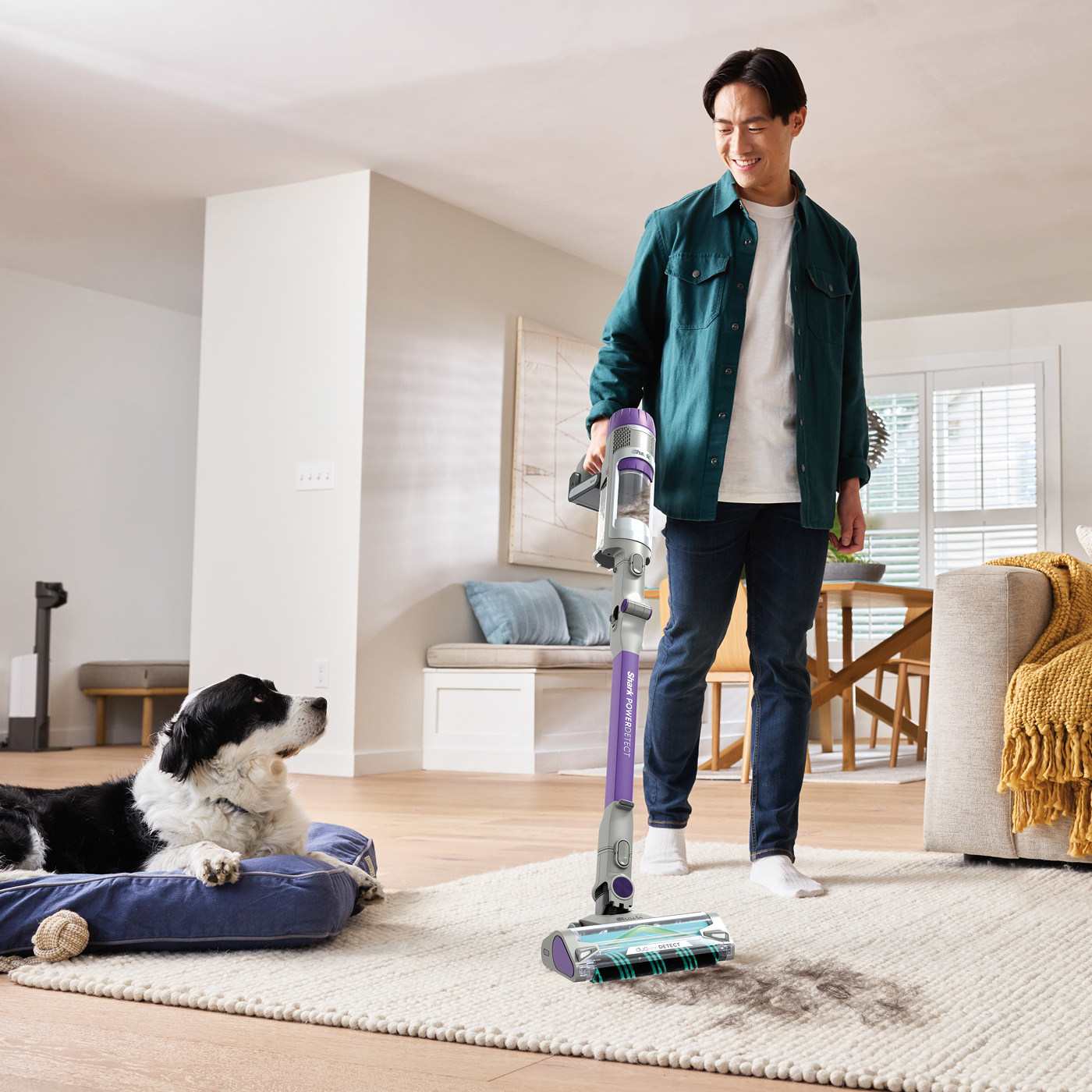 Une personne passe l'aspirateur près d'un panier pour chien pendant qu'un border collie regarde, en utilisant un aspirateur balai sans fil Shark PowerDetect sur un tapis