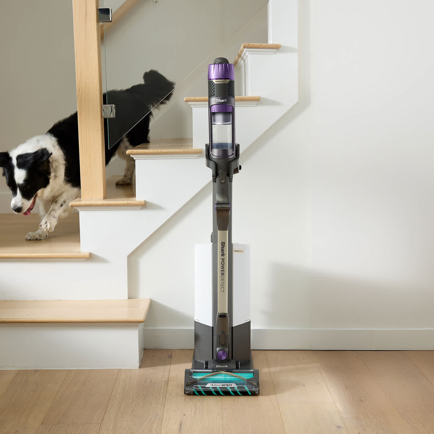 Aspirateur balai sans fil Shark rangé sur sa station d'accueil à vidage automatique près d'un escalier ; chien en arrière-plan.