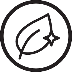 Leaf with a sparkle inside a circle