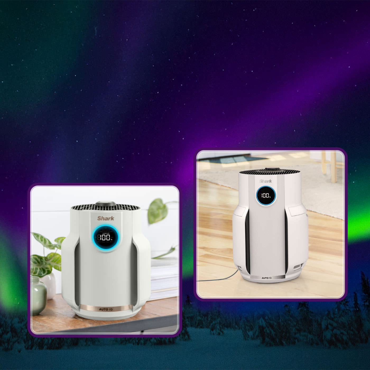 Elettrodomestici Shark per la cura dei capelli e la pulizia della casa