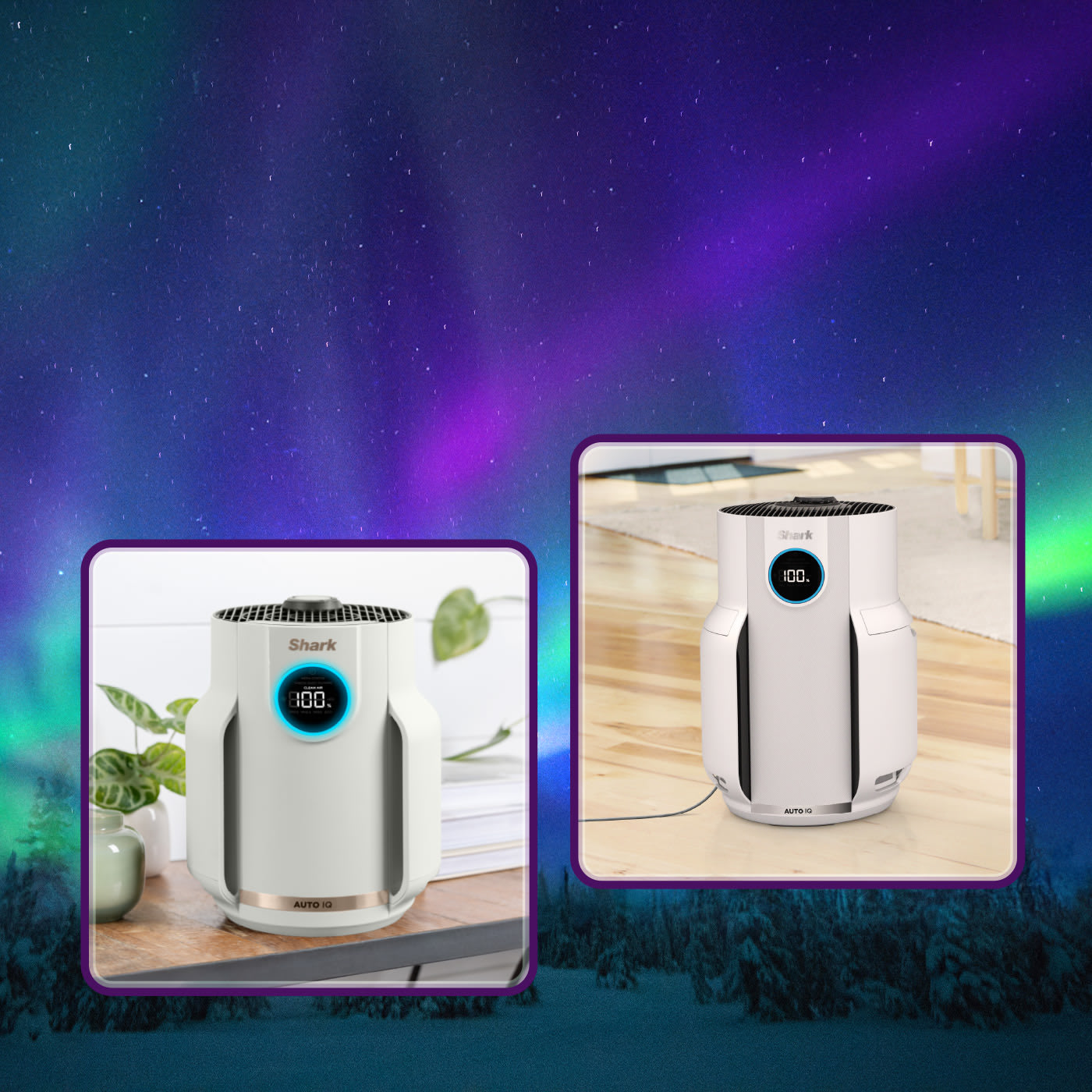 Elettrodomestici Shark per la cura dei capelli e la pulizia della casa