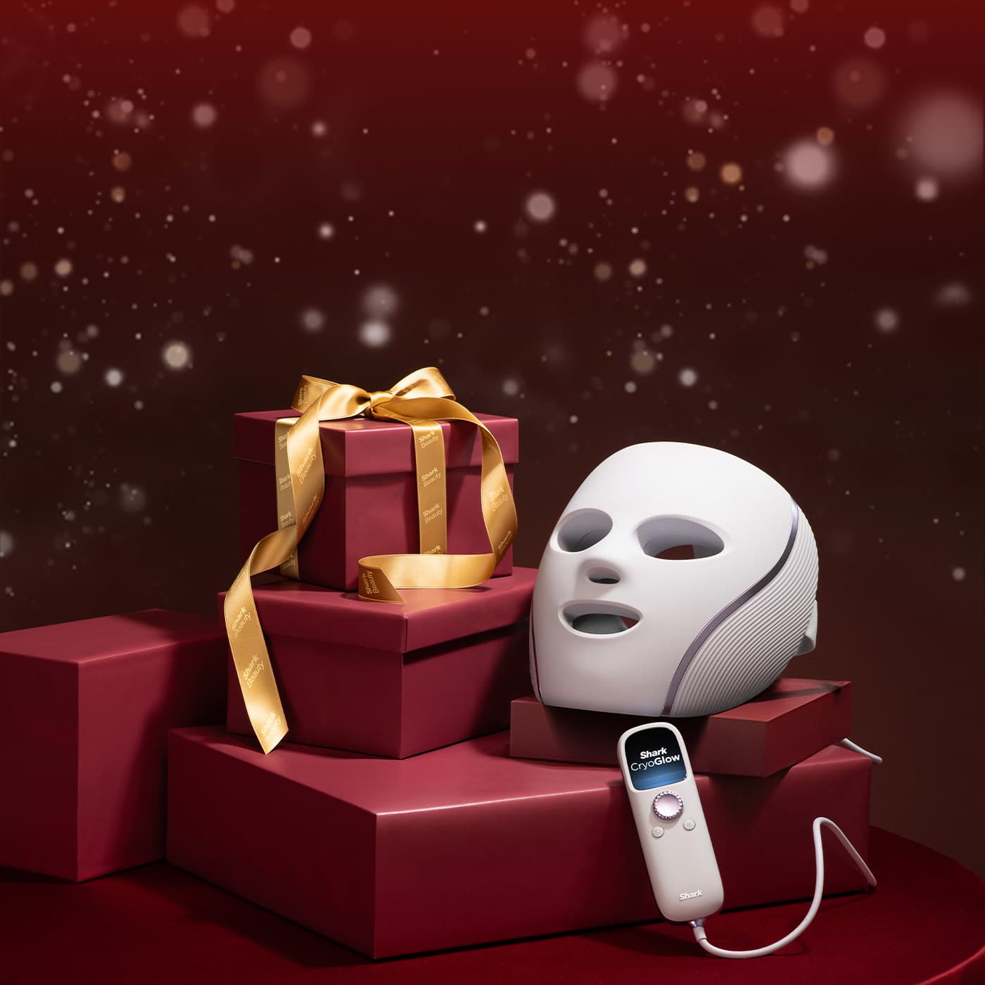 Shark Fêtes de fin d'année