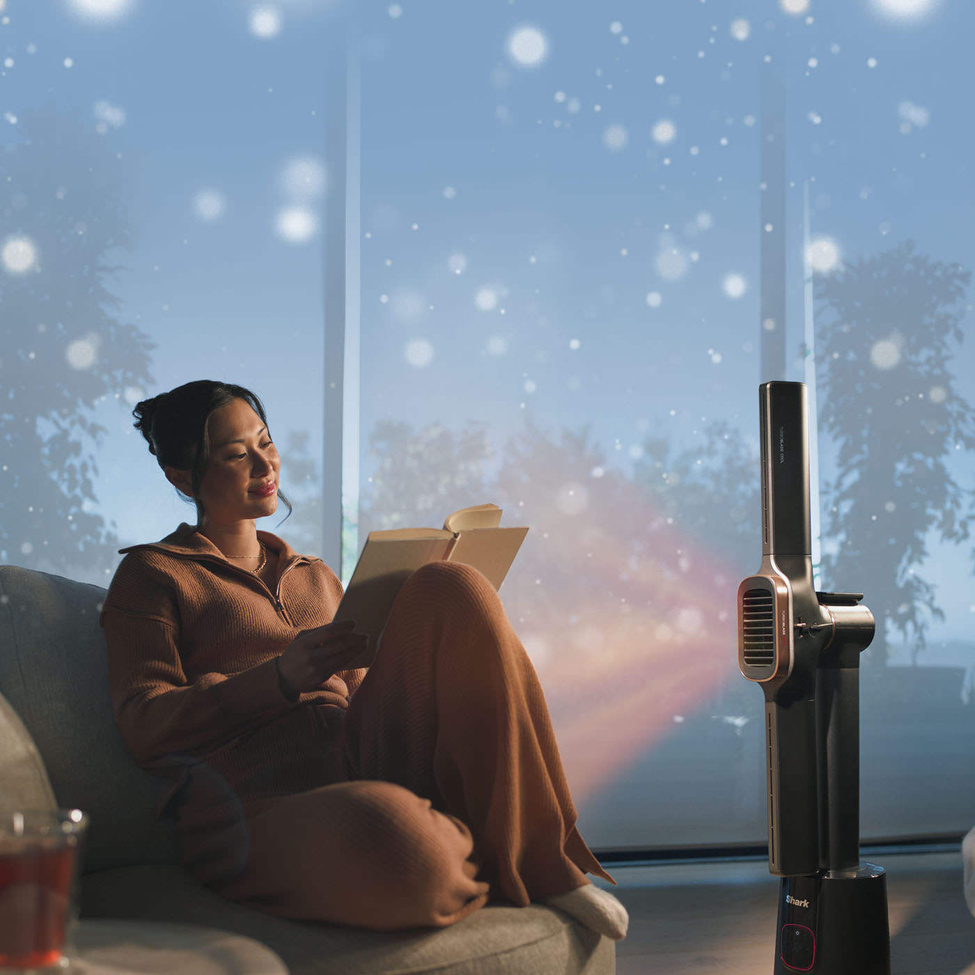 Shark Fêtes de fin d'année