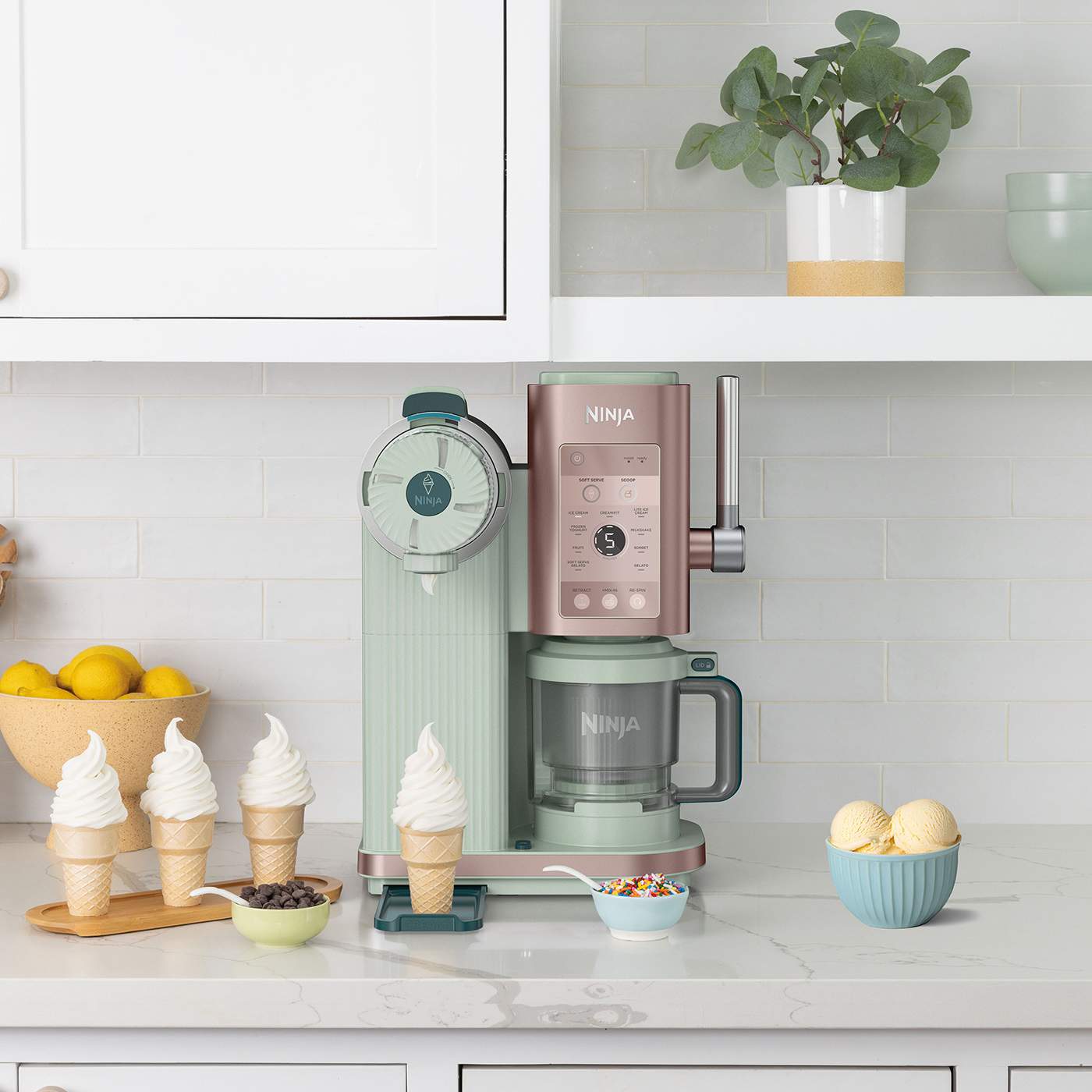 Entdecke 13 Programme f&uuml;r gefrorene Leckereien