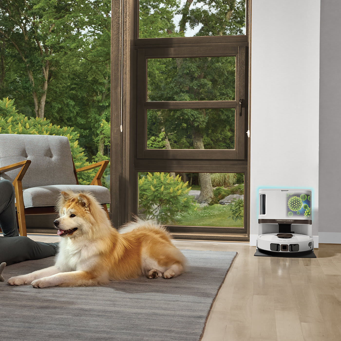 Ideal para hogares con mascotas