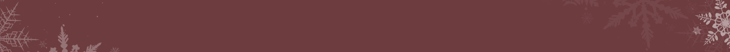 Rebajas Ninja España