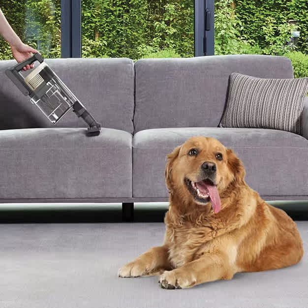 Aspiradoras con cable Shark