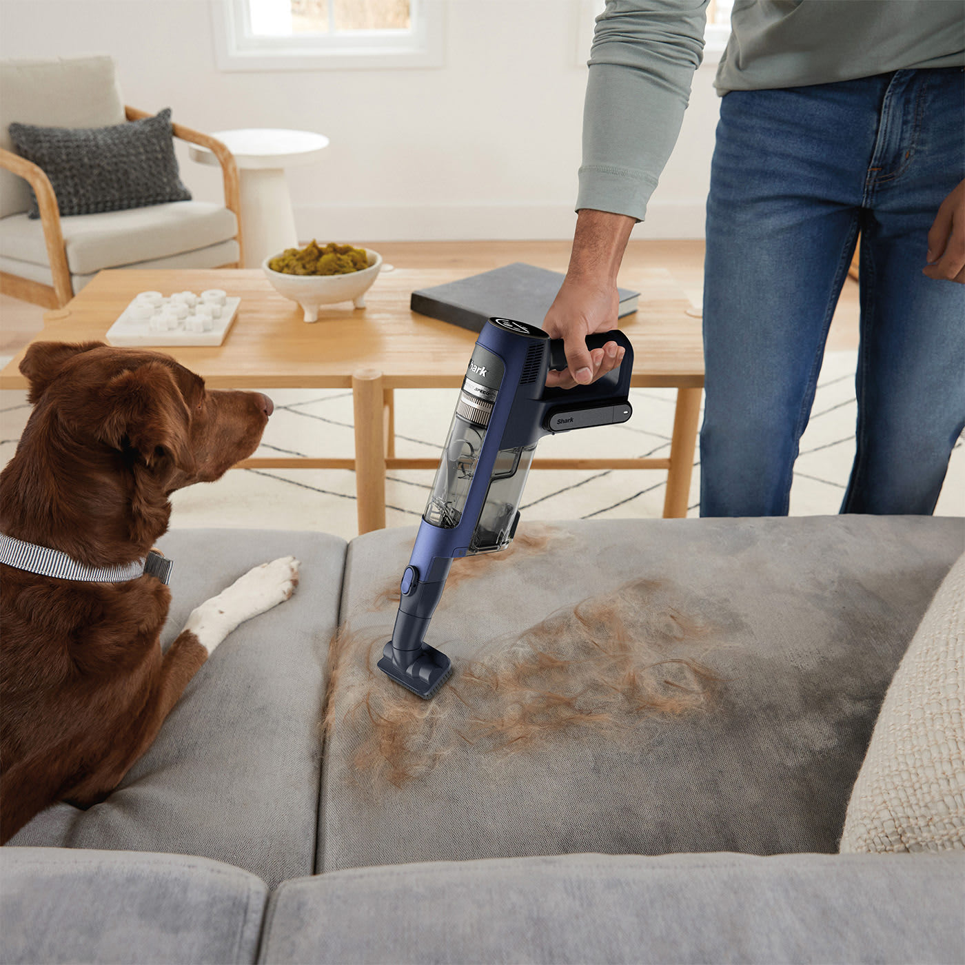 Four Detect Technologies