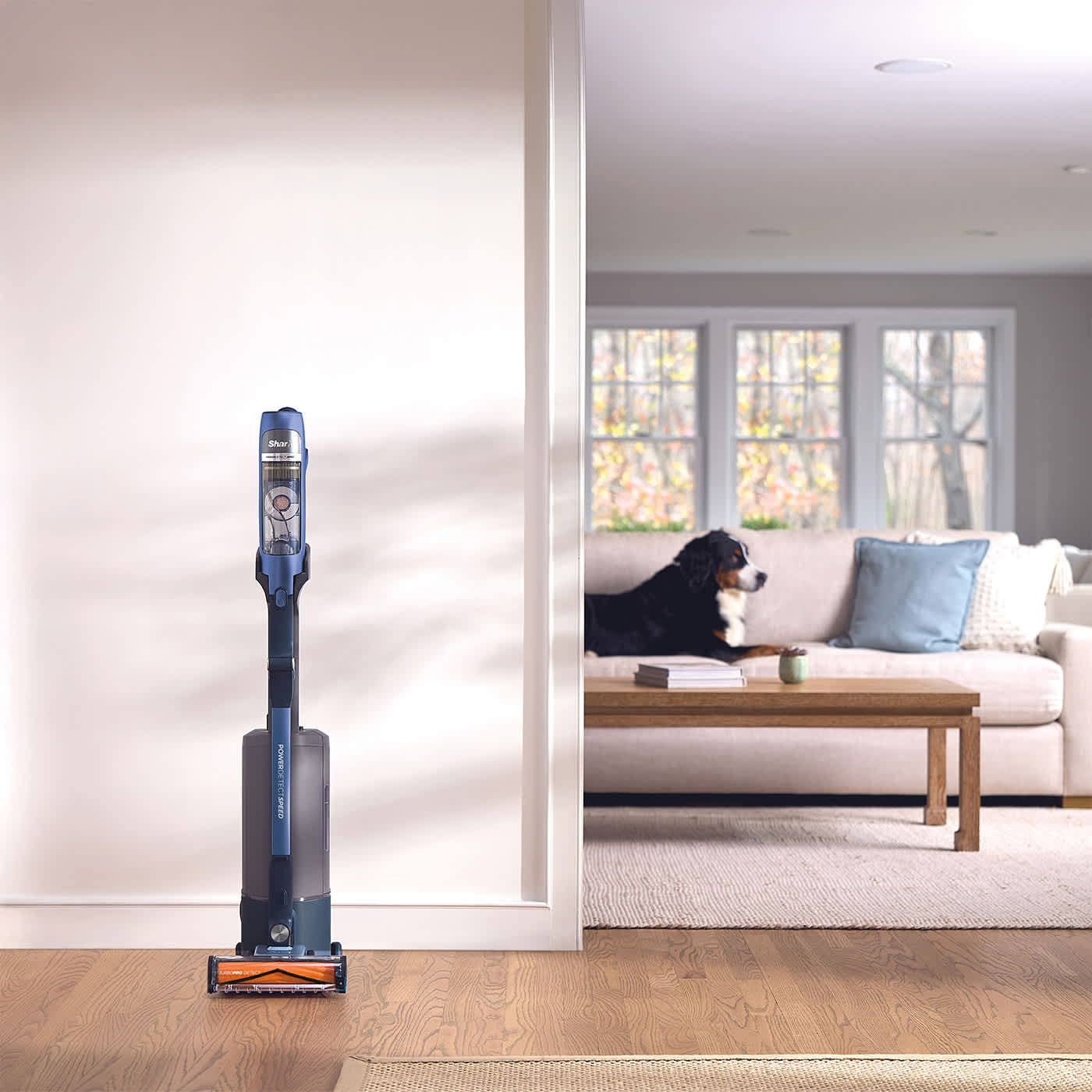 AutoEmpty Charging Dock, with HEPA filtration*