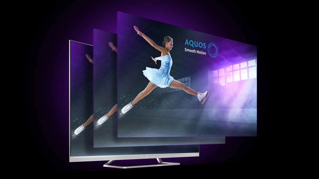 AQUOS Motion estimation and compensation for the smooth picture motion AQUOS Motion estimation and compensation for the smooth picture motion