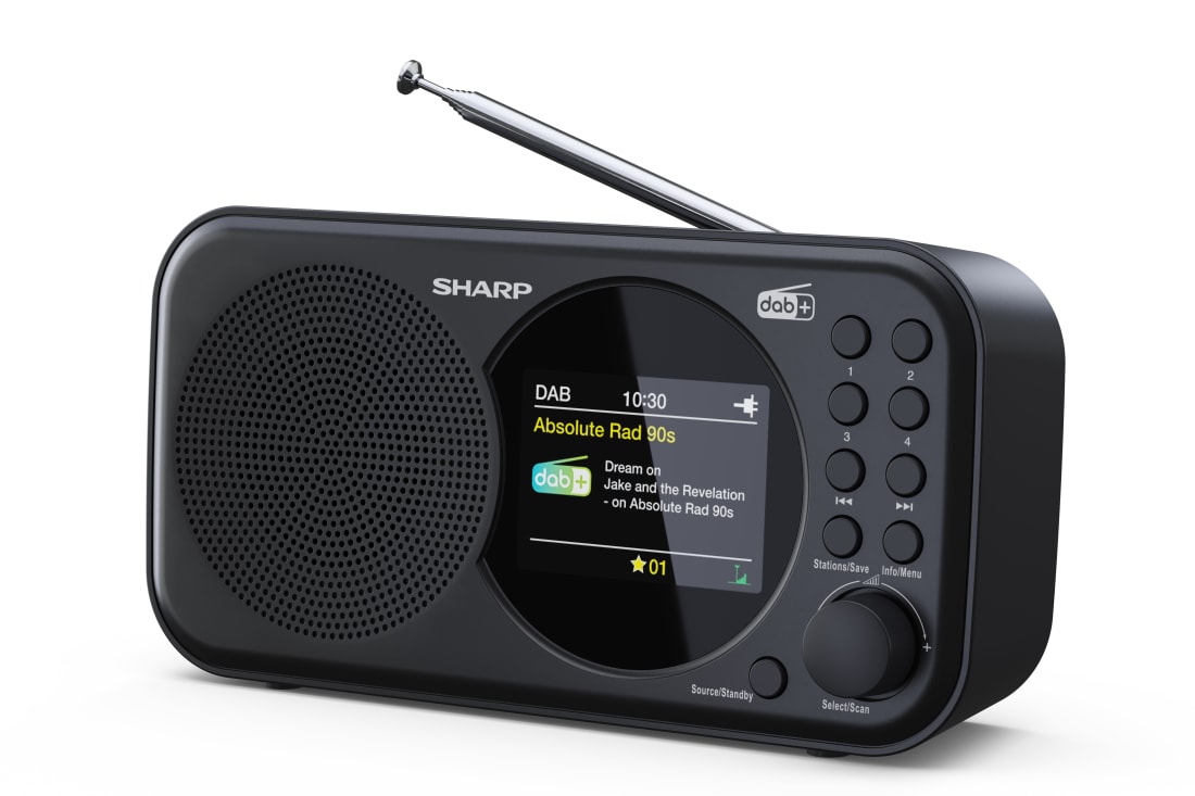 vloeistof Implicaties Eenzaamheid PORTABLE DIGITAL RADIO | DR-P320(BK) - Sharp Europe