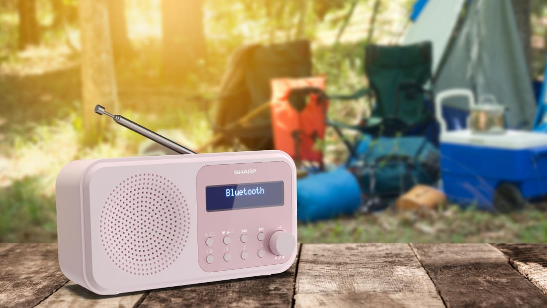 Radio - TOKYO PORTABLE DIGITAL RADIO - BLOSSOM PINK