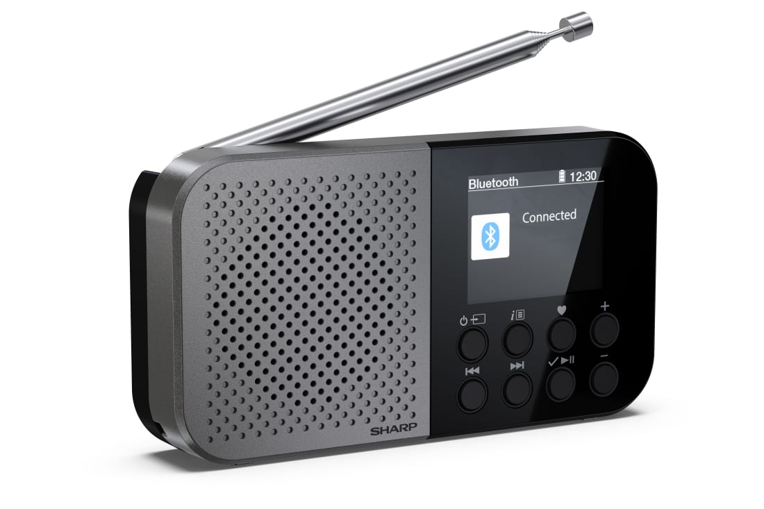 DAB Radio-Mono - Osaka Pocket/Handheld Portable Digital Radio - Storm Grey