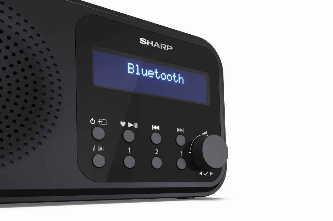 TOKYO PORTABLE DIGITAL RADIO - STEEL BLUE