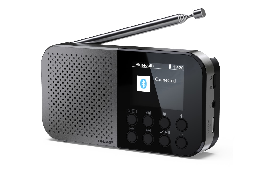 DAB Radio-Mono - Osaka Pocket/Handheld Portable Digital Radio - Storm Grey