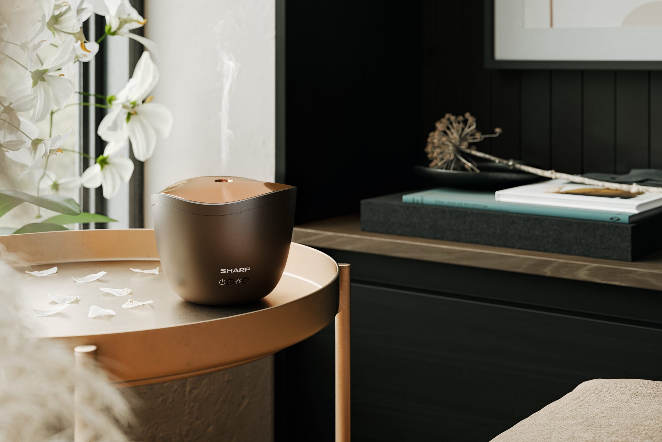 Ultrasonic Aroma Diffuser | DF-A1U-T - Sharp Europe