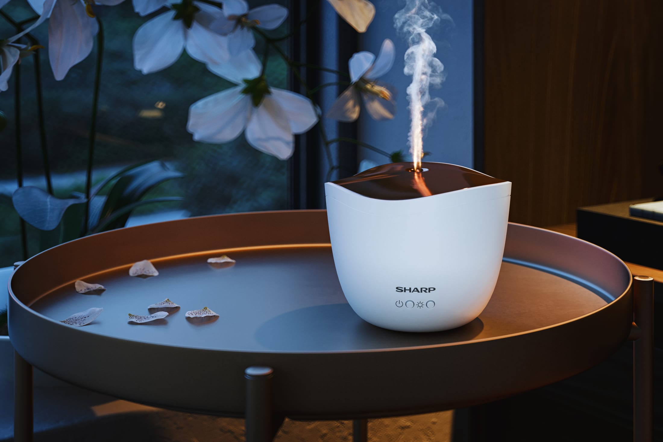 Ultrasonic Aroma Diffuser