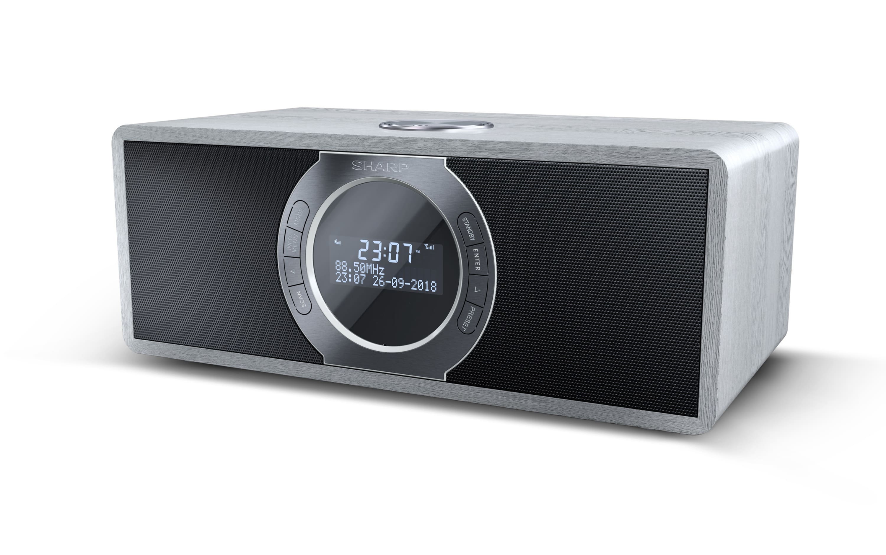 DIGITALE STEREORADIO - DR-S460(GR)