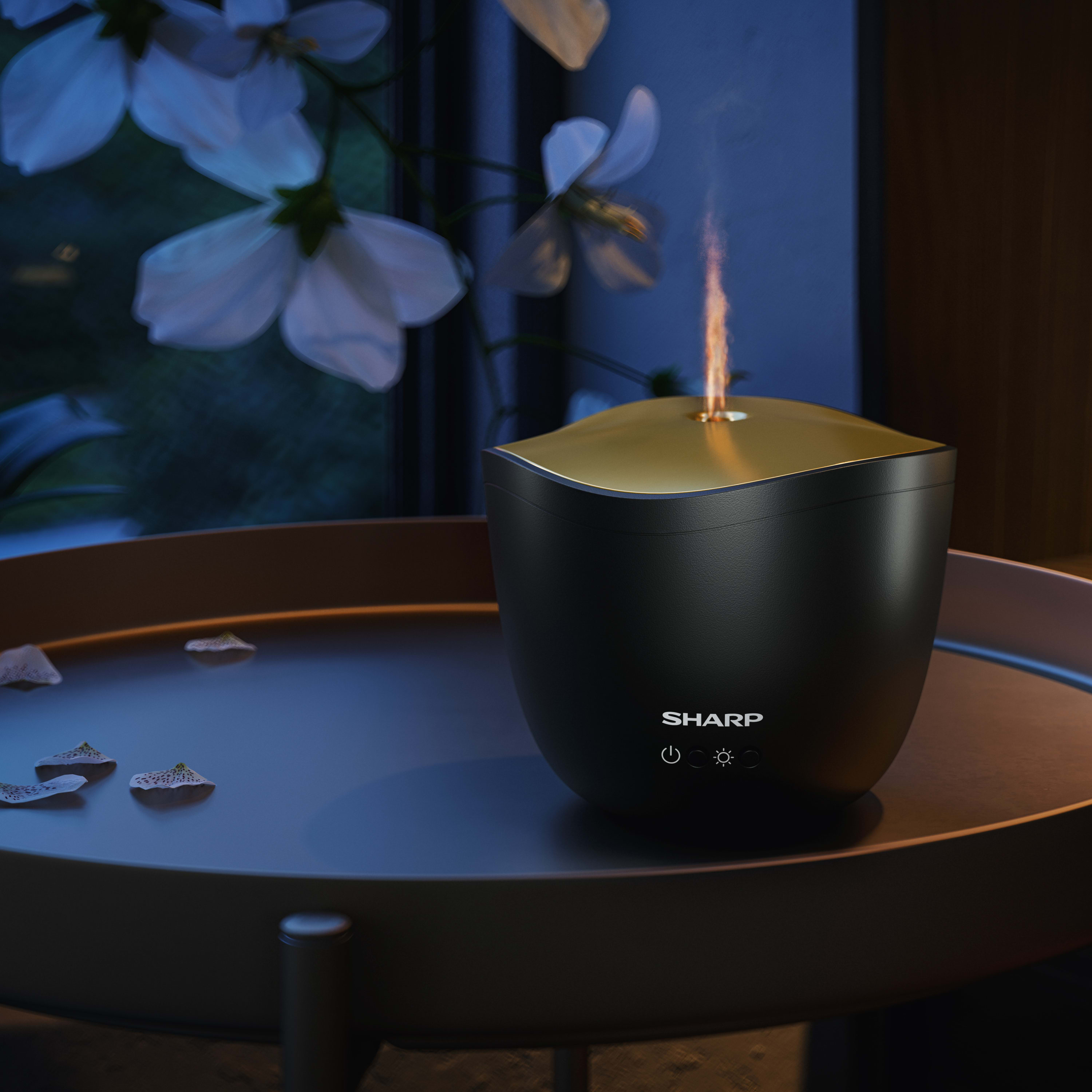 Ultrasonic Aroma Diffuser - DF-A1E-B