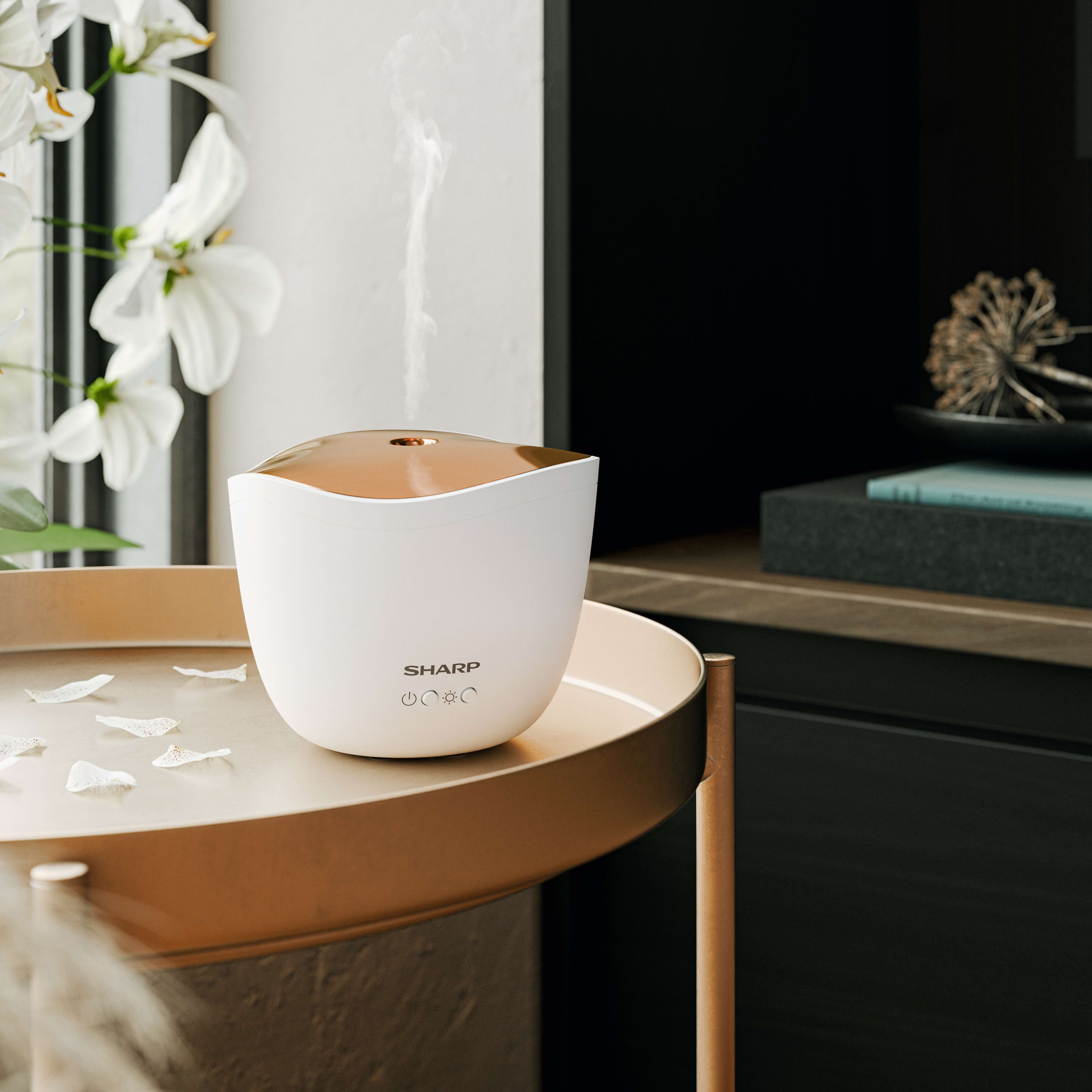 Ultrasonic Aroma Diffuser - DF-A1U-W