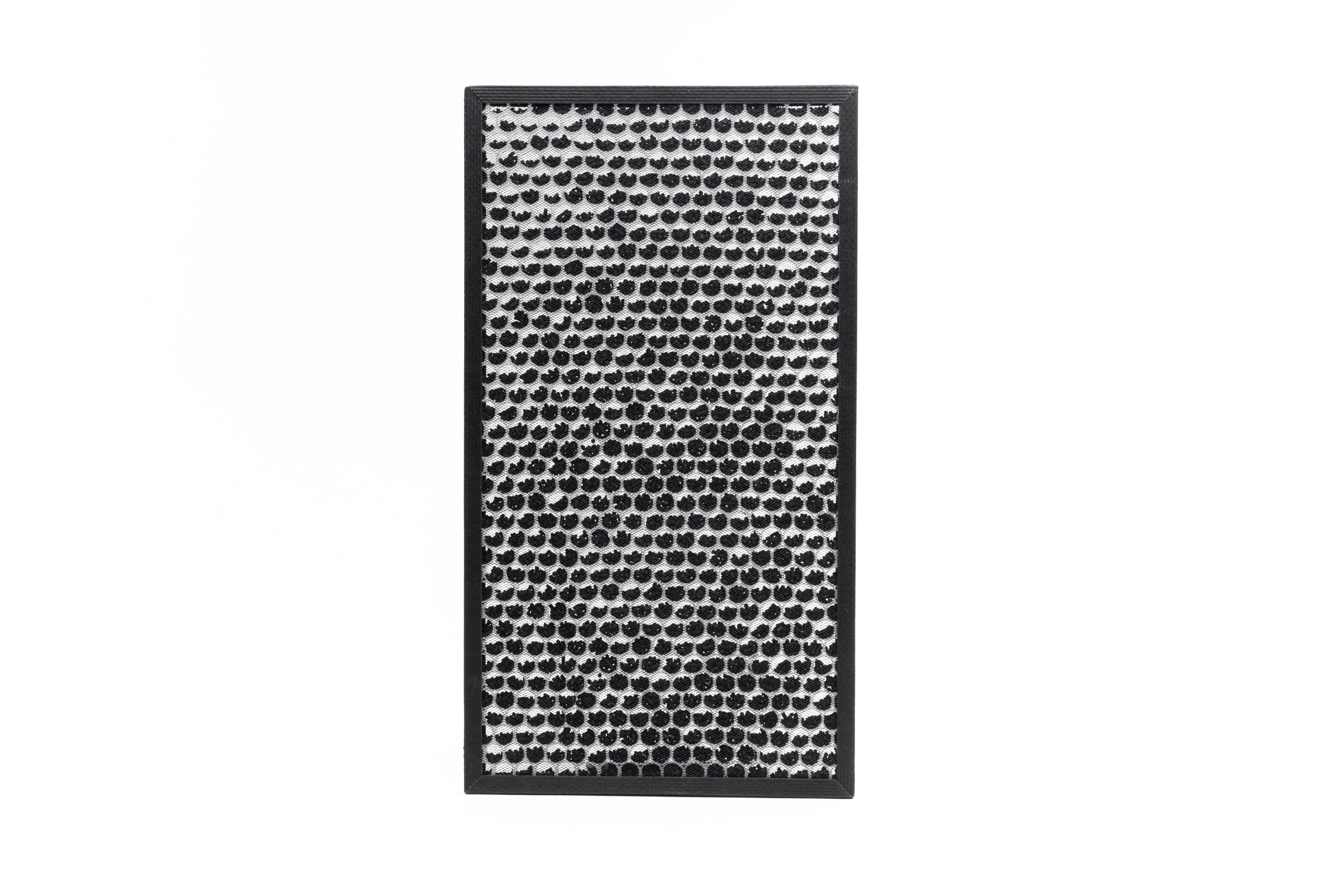 Deodorizing Filter for Air Purifier - 