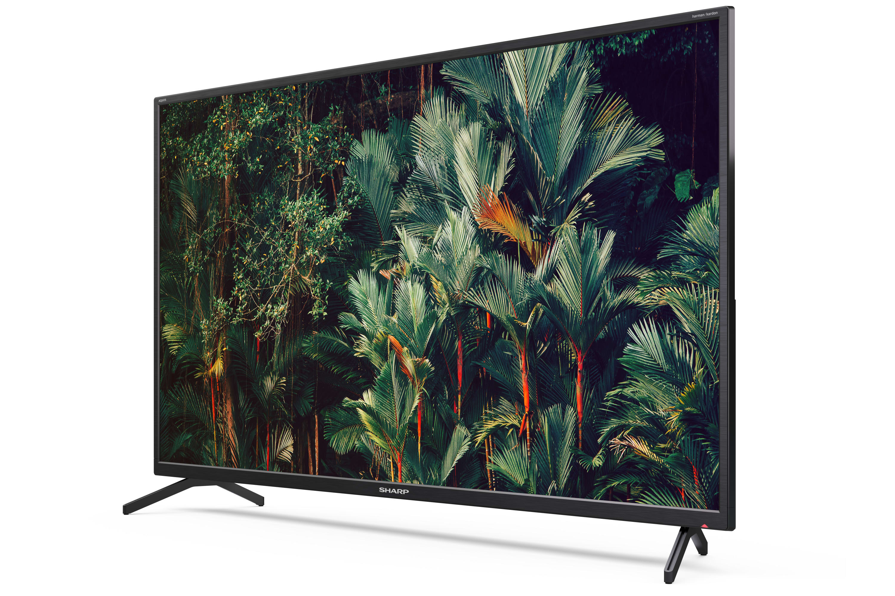 Android-TV, 4K UHD - 43" 4K ULTRA HD ANDROID TV™