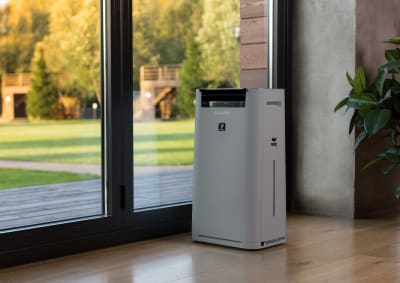 Air purifier with humidifying