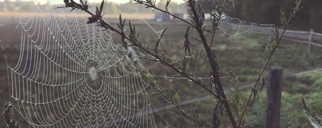 Article three: Insolvency – untangling the options - news article image